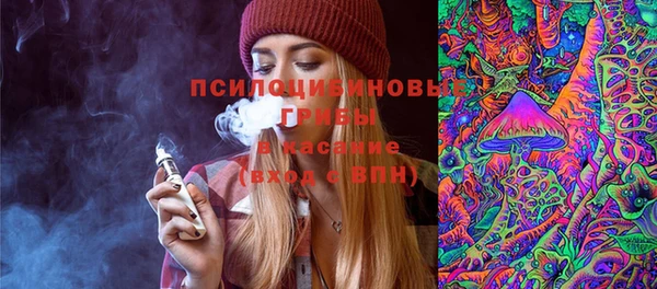 mdpv Новодвинск