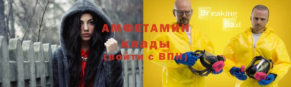 ГАЛЛЮЦИНОГЕННЫЕ ГРИБЫ Арсеньев