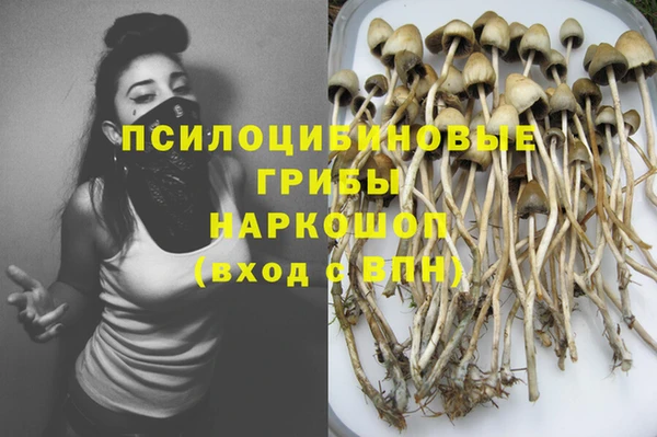 бутират Новозыбков
