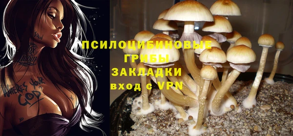 mdpv Новодвинск