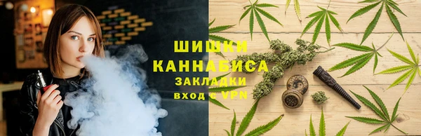 гидропоника Нязепетровск