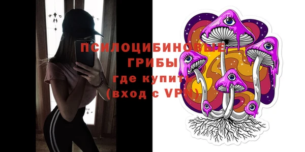 mdpv Новодвинск